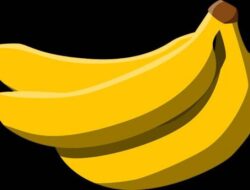 5 Manfaat Bagi Tubuh Kita Jika Sering Mengkonsumsi Buah Pisang