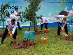 Kawasan Bakauheni Harbour City ASDP dan Pemprov Lampung Gelar Penanaman Pohon Tingkatkan Penghijauan