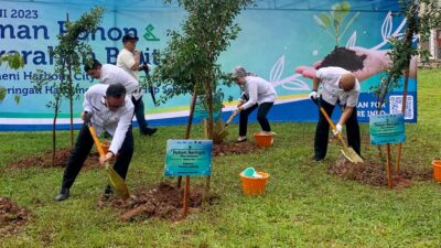 Kawasan Bakauheni Harbour City ASDP dan Pemprov Lampung Gelar Penanaman Pohon Tingkatkan Penghijauan