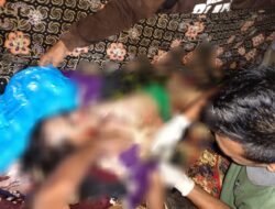 Temuan Korban Diterkam Harimau di Pesisir Barat, Polda Lampung Himbau Untuk Berhati-hati dan Lapor Jika Menemukannya