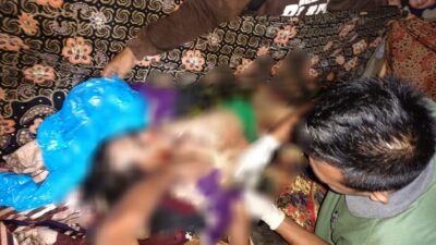 Temuan Korban Diterkam Harimau di Pesisir Barat, Polda Lampung Himbau Untuk Berhati-hati dan Lapor Jika Menemukannya