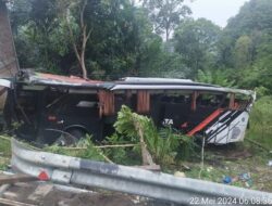 Polres Tanggamus Tangani Bus Pariwisata Kecelakaan, 6 Luka Berat