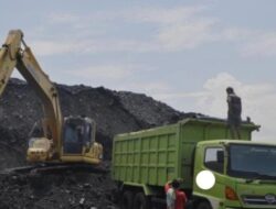 Perusahaan Stockpile Batu Bara Sebabkan Pencemaran Polusi Udara