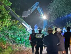 Gerak Cepat PLN Lakukan Perbaikan Jaringan Listrik terdampak Longsor, Pasca Cuaca Ekstrim di Pesawaran Lampung