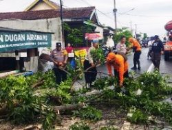 Badan Penanggulangan Bencana Daerah (BPBD) Kota Bandarlampung menekankan pentingnya kesiapsiagaan masyarakat menghadapi cuaca ekstrem