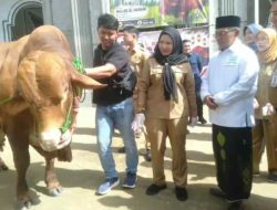 Hewan Kurban Pemkot dan Presiden untuk Masyarakat Bandar Lampung